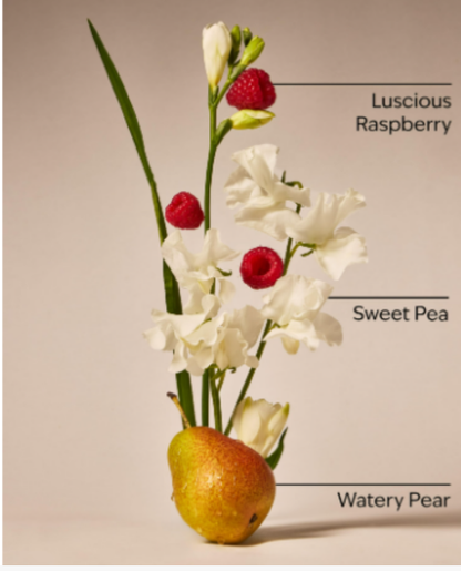 Splash bath & Body words SWEET PEA