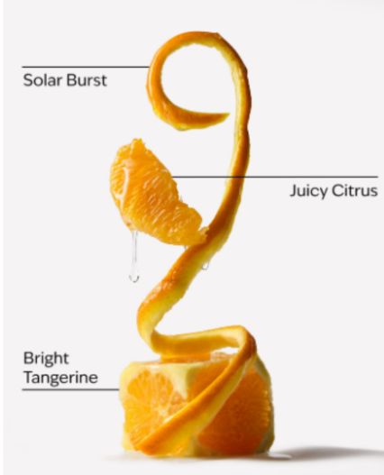 Splash bath & Body words TANGERINE TWIRL